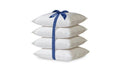 Orthopedic Support 2-Pack Hypoallergenic Down-Alternative, Throw Pillow Inserts (20" x 20") - Decorative Throw Pillow Cushion for Sofa & Bed - Default Title