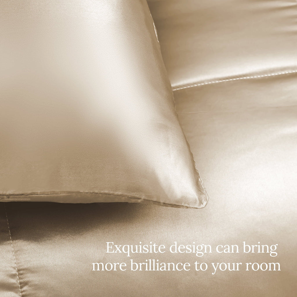 Fluffy Down Alternative 3-Piece Reversible Silky Soft King Size Comforter Bedding Set, Luxurious Satin Comforters with 2 Satin Pillowcases, L... - Cloud-Like Soft Lightweight Bed Comforter Detail