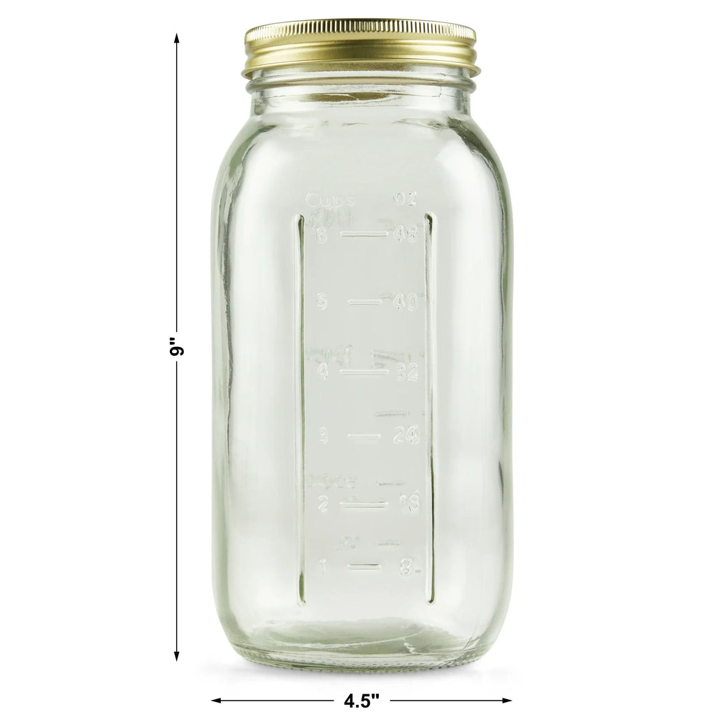 Deliciously Squishy 64 oz Mason Jars, Wide Mouth Half Gallon Canning Jars with Lids and Rings, 6-Pack Extra Large Glass Jars for Home Can... - Squishy Dohnut Sweet Treat Shaped Stress Toy Detail