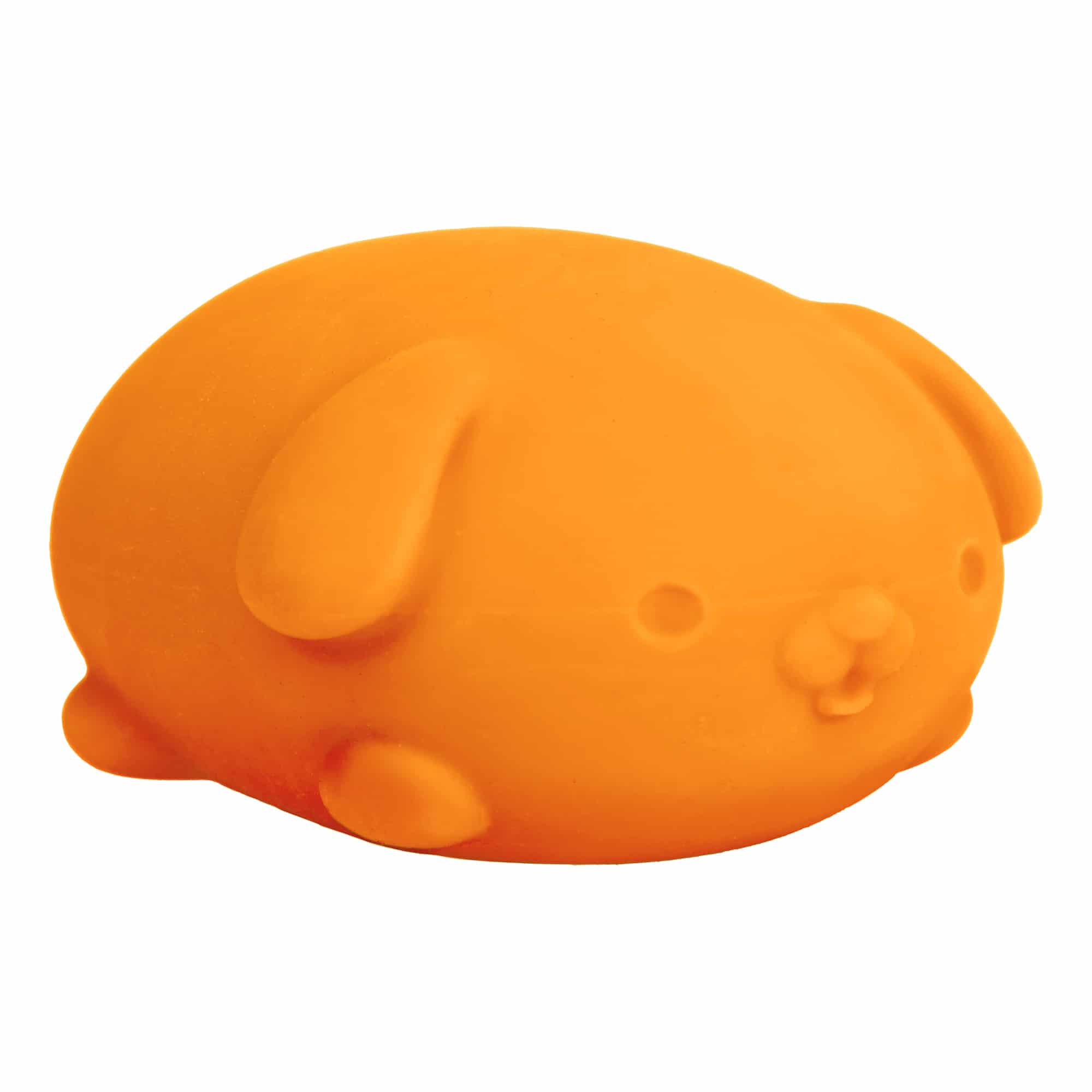 Cute Collectible NeeDoh Funky Pup | Collection Canyon Shore - Collectible Shaggy Monster Squishable Toy Detail