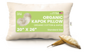 Decorative Plump Kapok 20x26" Standard Bed Pillow – Organic Cotton Fabric Soft Sleeping Pillow - Made in USA - Hotel Quality Plush Sleeping Pillows - Default Title