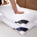 Orthopedic Support 2Pcs Soft Feather Velvet Down Pillow Standard Size, Hotel-grade Feather Pillow for Sleeping, Skin-friendly Cotton Fab... - Ergonomic Memory Foam Pillow for Neck Pain Support - Default Title