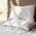 Ergonomic Memory Foam Goose Feather Down Pillows Queen Size Set of 2, 100% Cotton Cover Hotel Collection Bed Pillows，20"x28" - Ergonomic Memory Foam Pillow for Neck Pain Support - Default Title