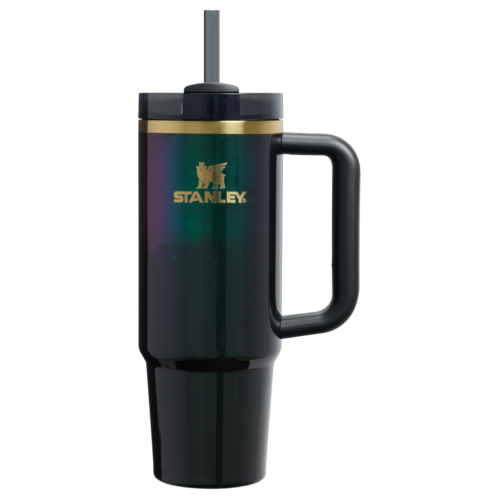 Insulated Travel The Wicked for Good Quencher H2.0 Flowstate Tumbler D246P - FlowState 3-Position Lid Insulated Travel Mug - Elphaba For Good