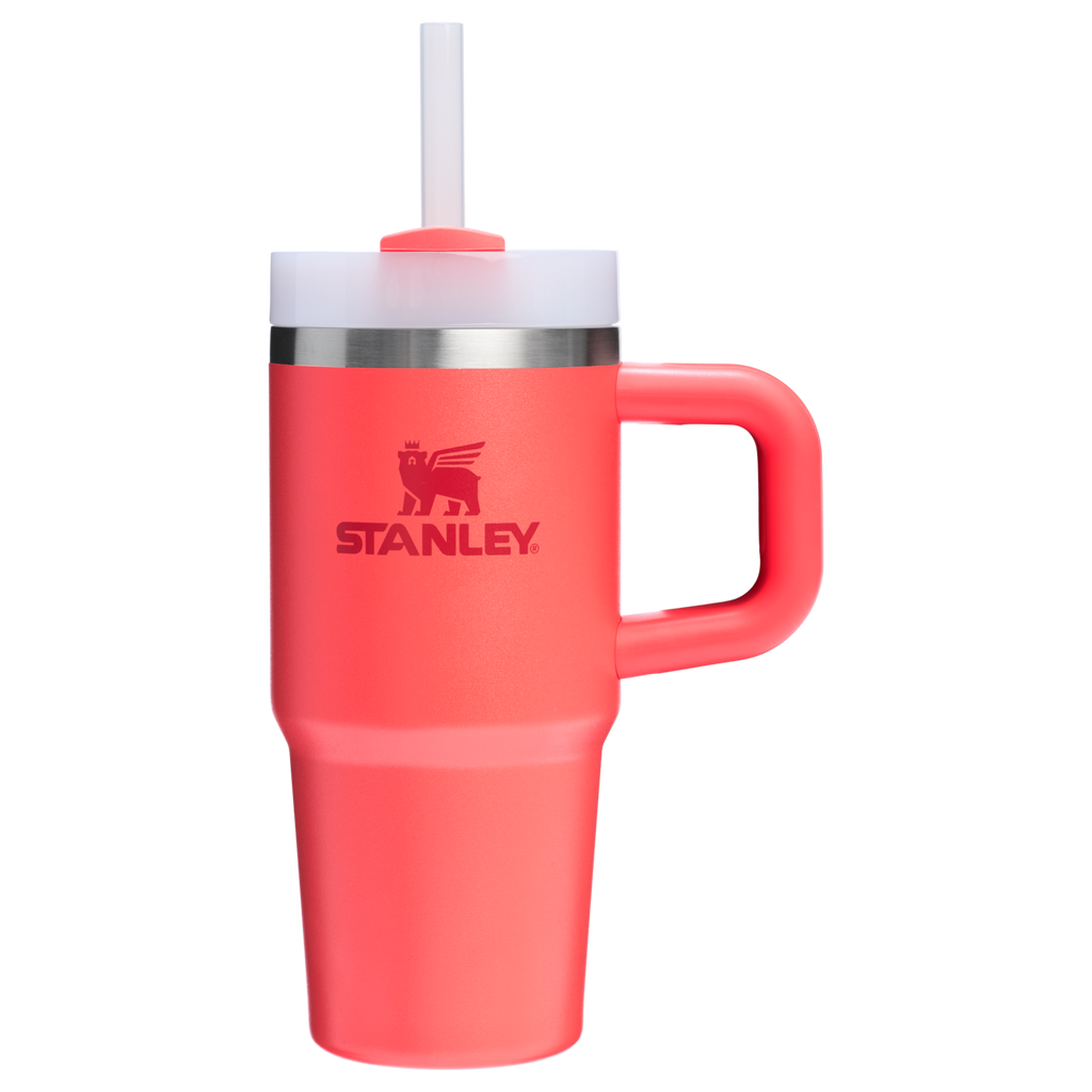 Insulated Travel The Quencher H2.O Flowstate Tumbler | Stanley Create D291F - Premium Stainless Steel Straw Cup for All-Day Hydration Detail