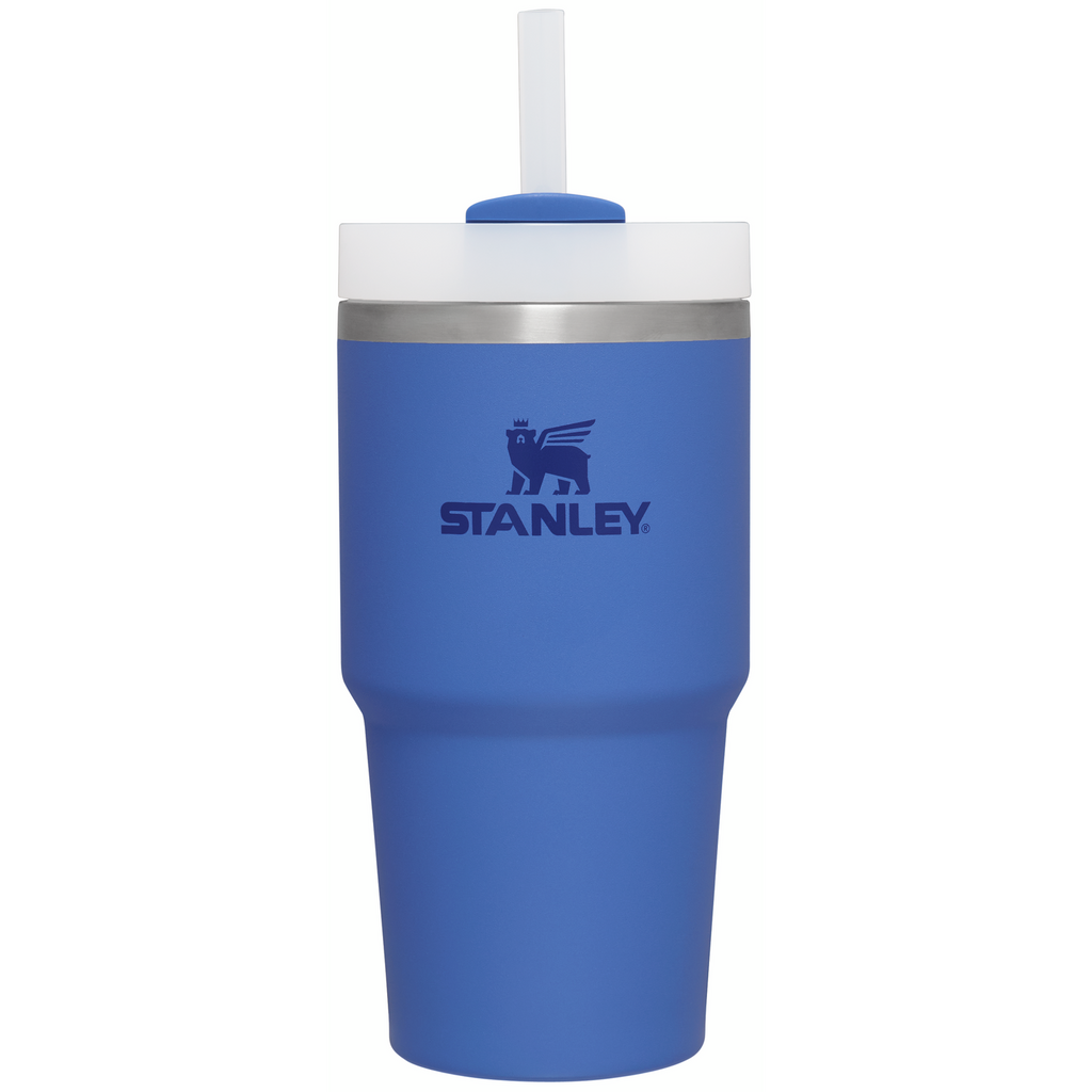 Large Capacity The Quencher H2.0 Flowstate Tumbler D030T - Premium Stainless Steel Straw Cup for All-Day Hydration - Iris