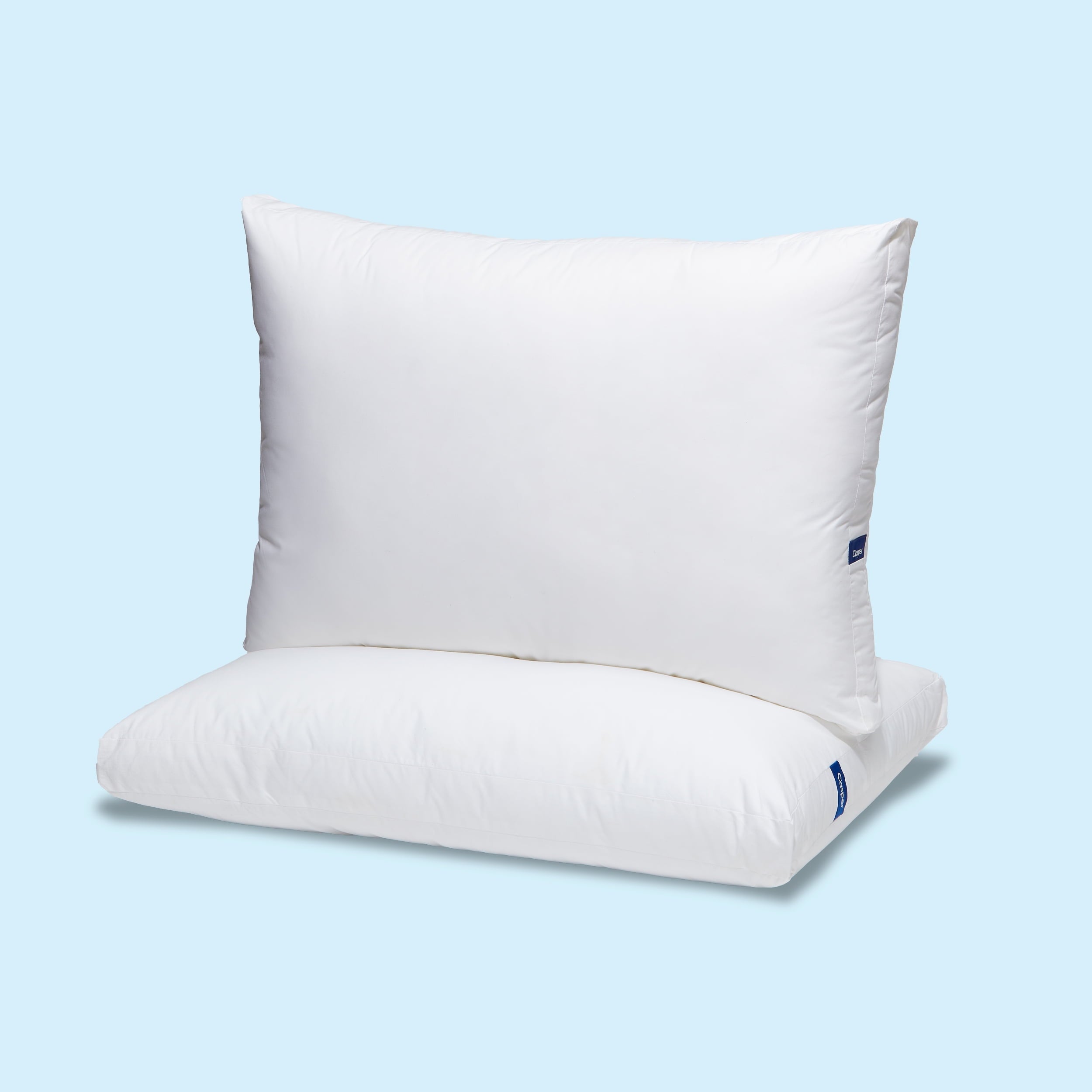Decorative Plump Essential Pillow, Standard - Orthopedic Shredded Foam Bed Pillow Set Detail