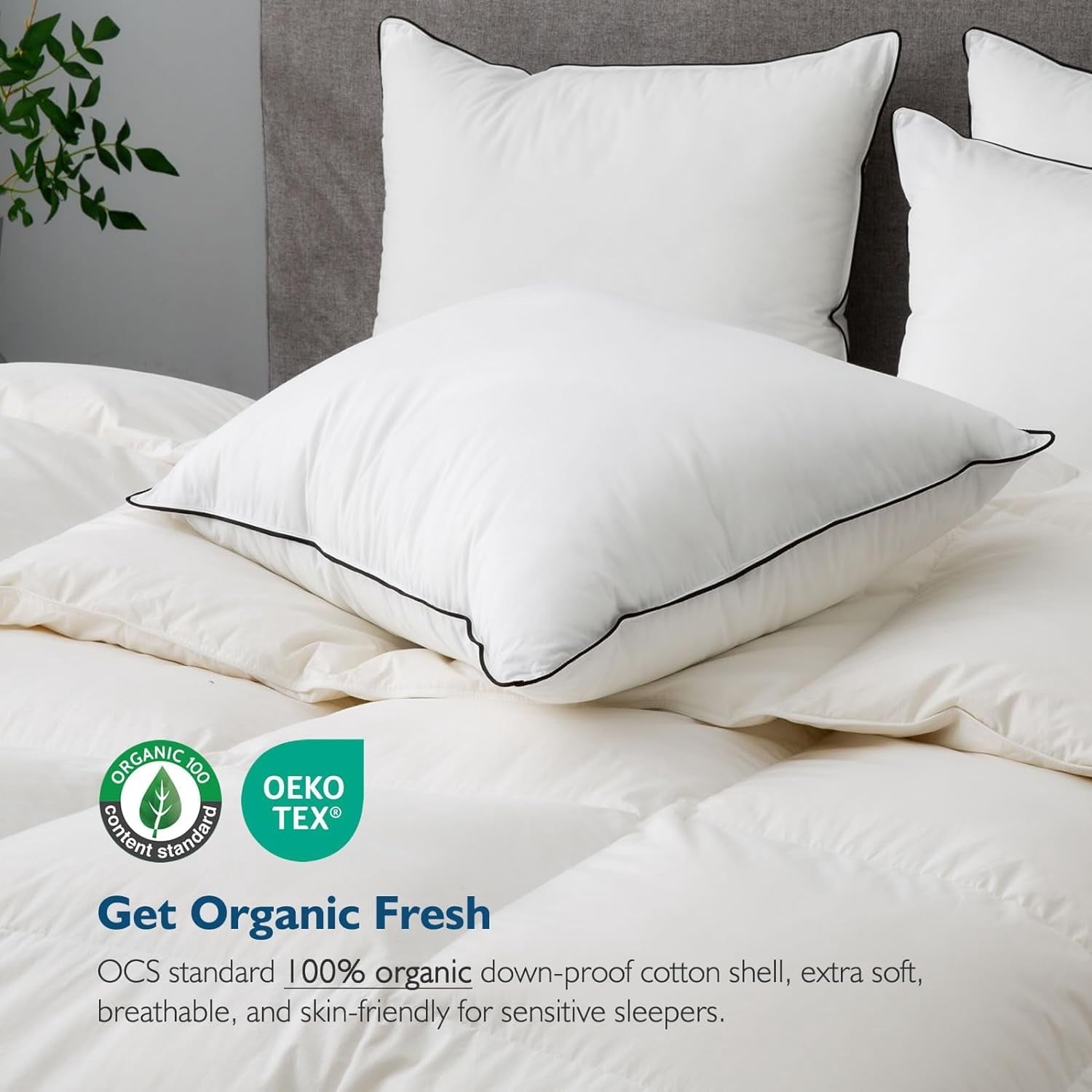 Ergonomic Memory Foam Hypoallergenic 3‑Chamber Goose Feather Down Core Bed Pillows, Standard Size Set of 2, With Microfiber Surround, Soft-... - Decorative Throw Pillow Cushion for Sofa & Bed Detail